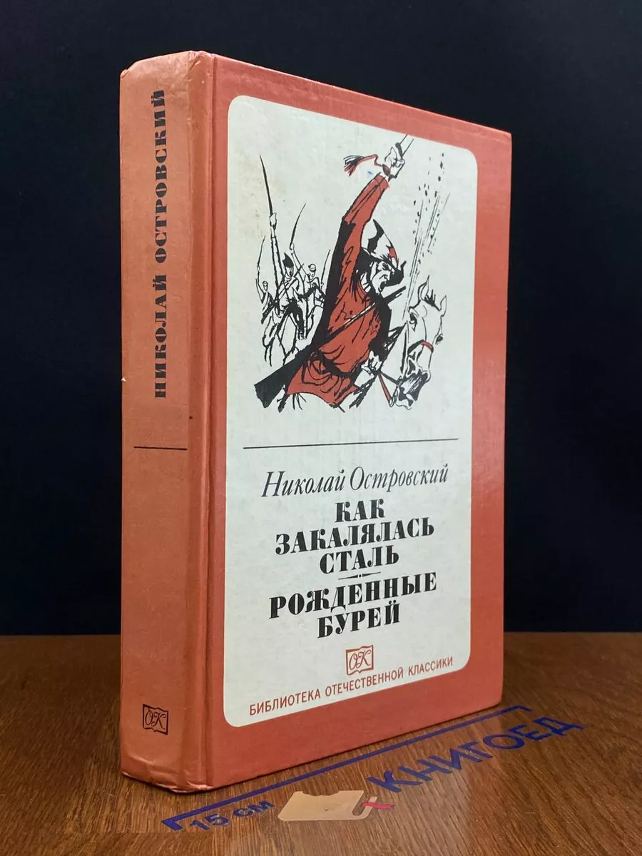 Как закалялась сталь. Рожденные бурей