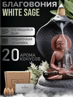 Благовония White Sage стелющийся дым аромаконусы Шалфей Muse 219020077 купить за 420 ₽ в интернет-магазине Wildberries