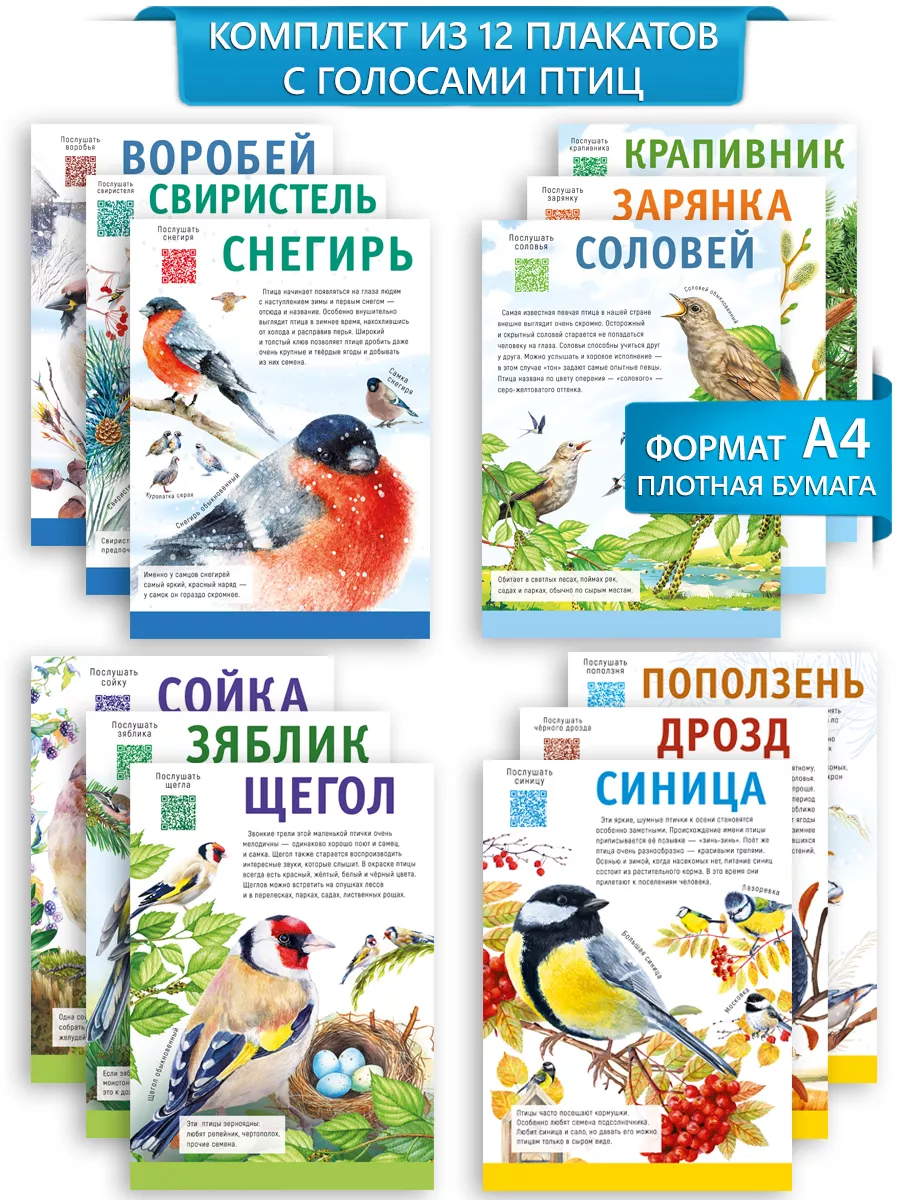 Набор обучающих плакатов Птицы 12 шт формат А4