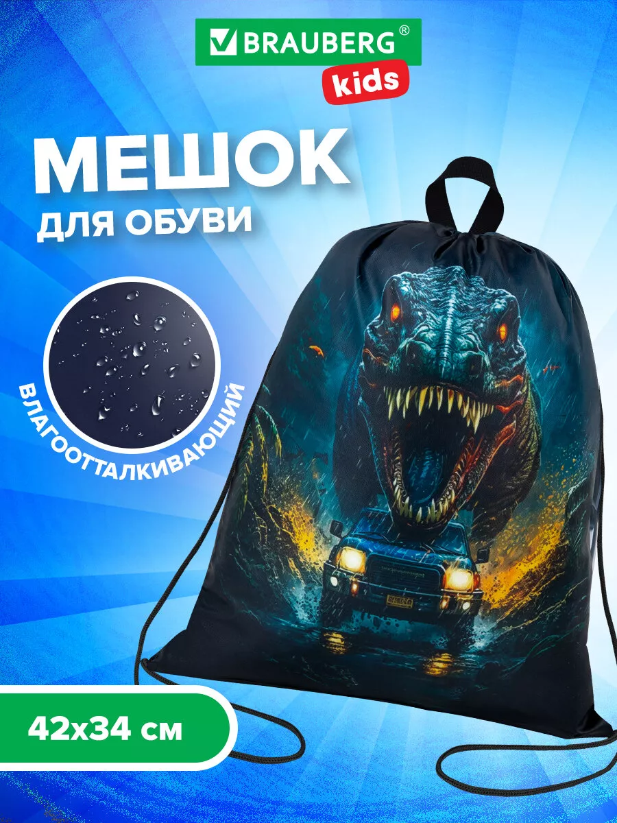 Мешок для обуви, сумка для сменки в школу, чехол плотный