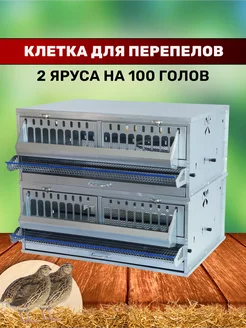 Клетка для перепелов на 100 голов с кормушкой и поилкой