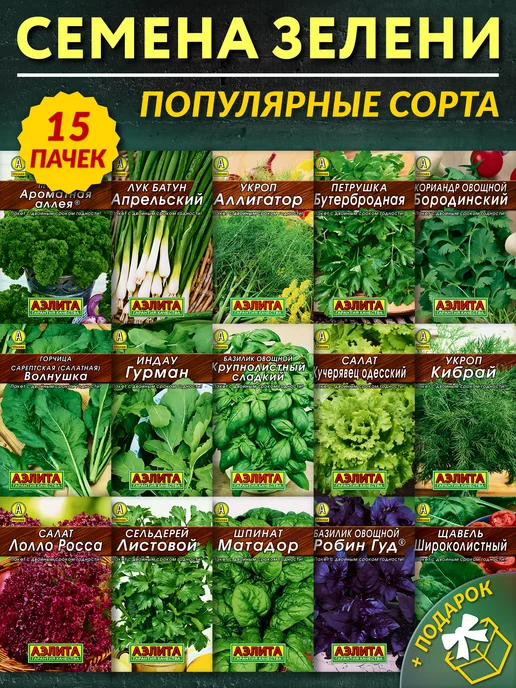 Агрофирма АЭЛИТА Семена зелени набор, зеленый, фото 2