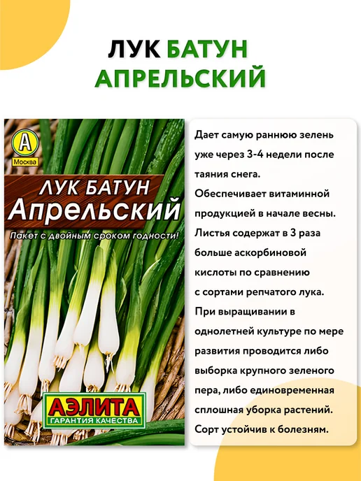 Агрофирма АЭЛИТА Семена зелени набор, зеленый, фото 4