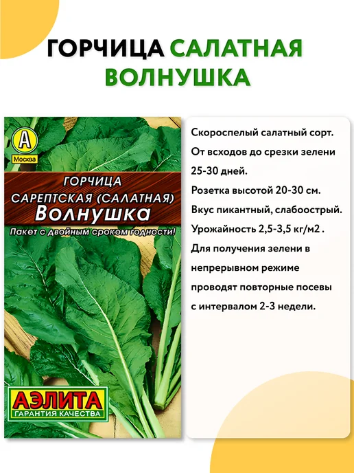 Агрофирма АЭЛИТА Семена зелени набор, зеленый, фото 8