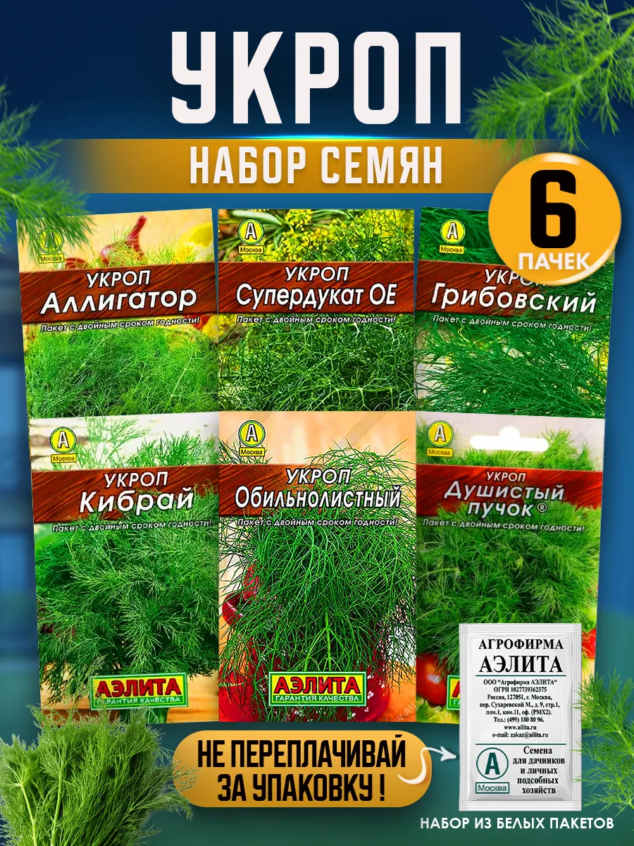 Семена укропа для посадки на зелень
