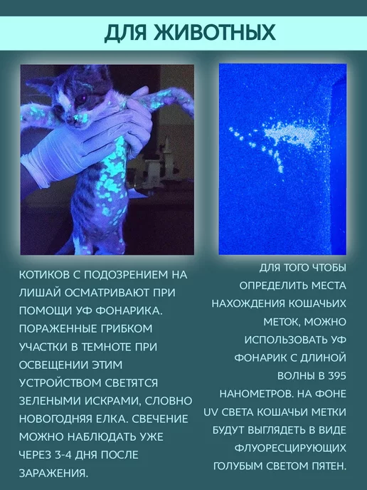 ROXLINE Лампа для маникюра фонарик ультрафиолетовый, черный, фото 7