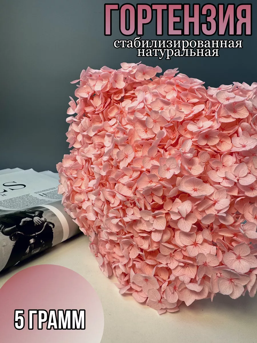 Сухоцветы для декора Гортензия стабилизированная 5 г