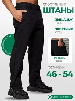 Брюки спортивные летние LIFESTYLE 219266139 купить за 1 806 ₽ в интернет-магазине Wildberries