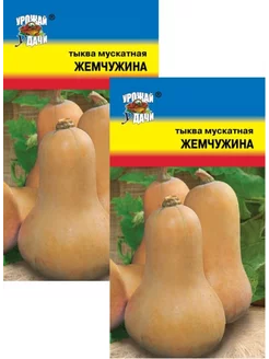 Тыква Жемчужина мускатная (1 г), 2 пакета