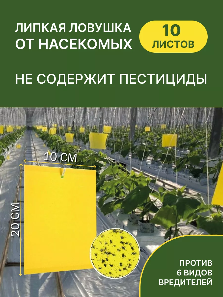 Липкая лента от мух и...