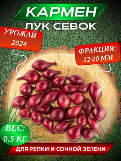 Лук севок озимый на посадку в зиму Кармен Сладко 219381586 купить за 291 ₽ в интернет-магазине Wildberries