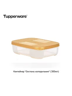 Контейнер Система холодильник(300мл) Tupperware 219403050 купить за 338 ₽ в интернет-магазине Wildberries