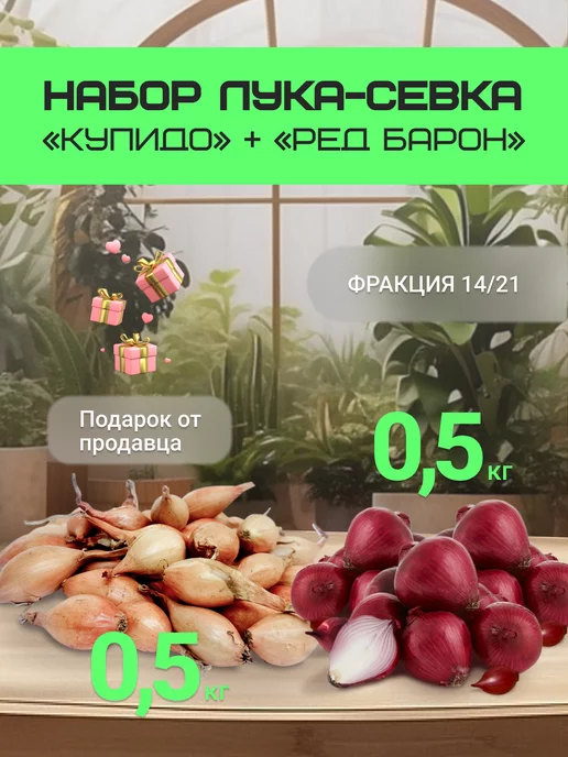 Лук на посадку осенью "Купидо"0.5кг и "Ред Барон"0.5 кг, 500 г, 500 г