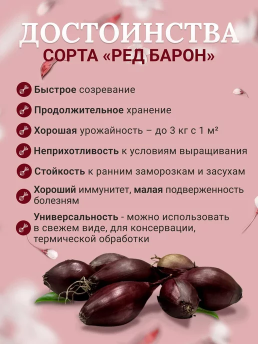 Лук на посадку осенью "Купидо"0.5кг и "Ред Барон"0.5 кг, 500 г, 500 г, фото 3