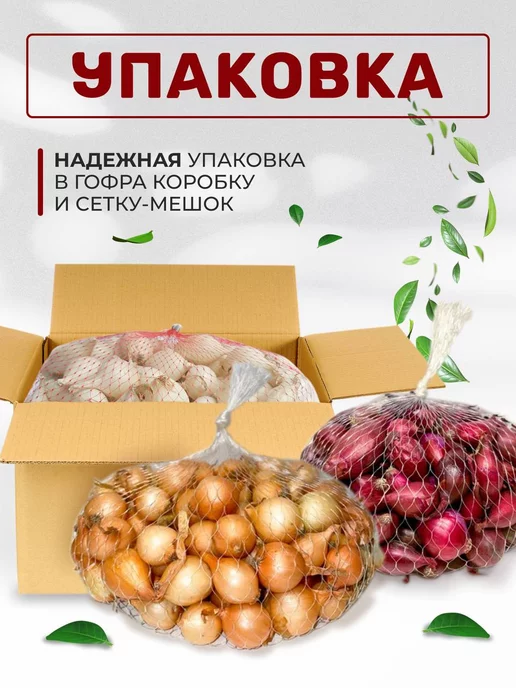 Лук на посадку осенью "Купидо"0.5кг и "Ред Барон"0.5 кг, 500 г, 500 г, фото 4