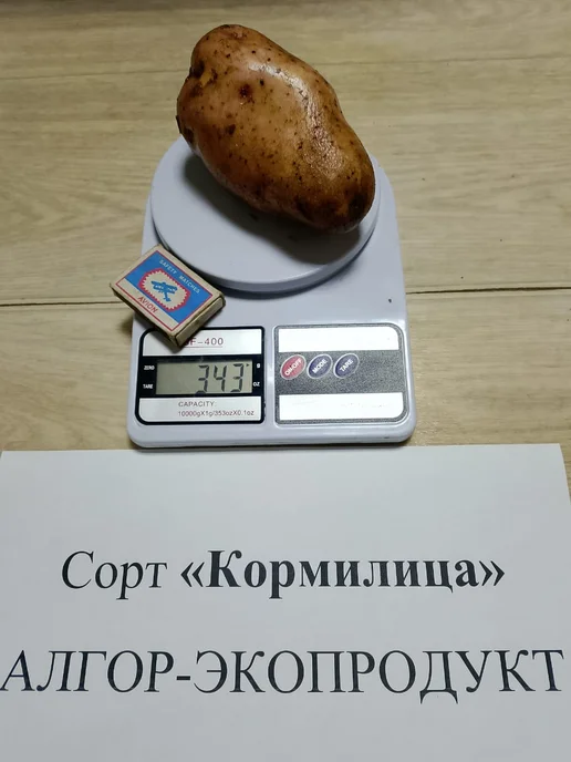 АЛГОР-ЭКОПРОДУКТ Картофель Кормилица - 1,7 кг, 1,7 кг, фото 2