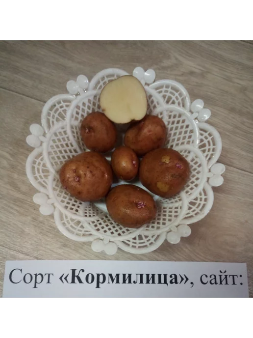 АЛГОР-ЭКОПРОДУКТ Картофель Кормилица - 1,7 кг, 1,7 кг, фото 3