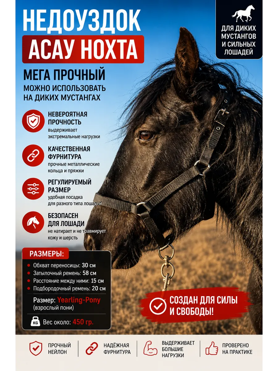 Недоуздок для лошадей "Асау тай ноқта" от 1 до 3 лет