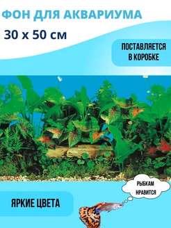 Фон для аквариума 30х50см 219557741 купить за 152 ₽ в интернет-магазине Wildberries