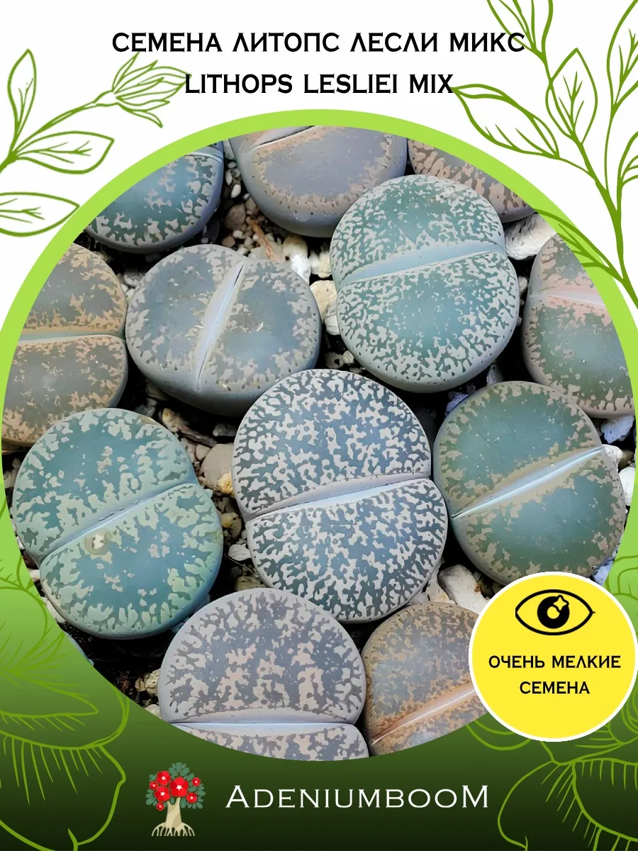 Семена Литопс Лесли Микс (5 шт.) / Lithops Lesliei MIX