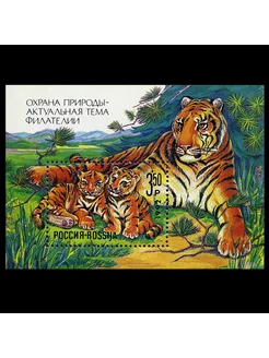 Почтовые марки России 1992 г Охрана природы(тигр) MNH