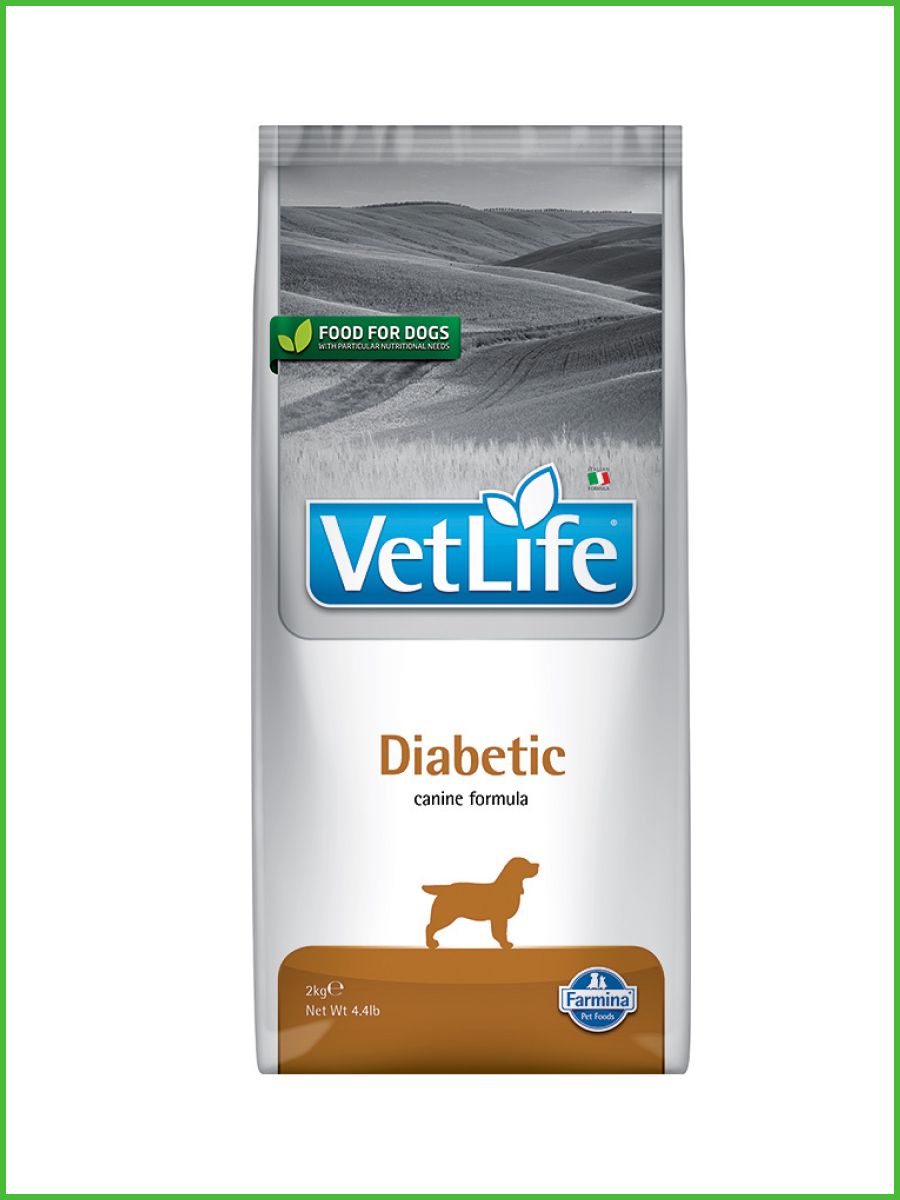 Vet life отзывы для кошек. Корм для кошек влажный Diabetic. Farmina vet Life Cat Diabetic. Farmina vet Life Diabetic 2 кг.