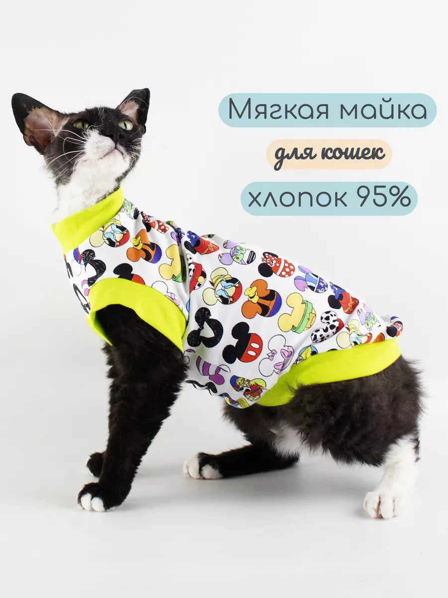 Одежда и аксессуары для кошек