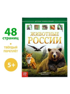 Детская энциклопедия «Животные России», 48 стр