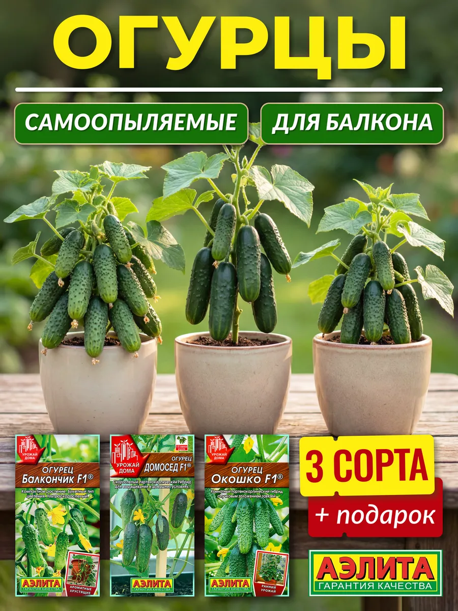 Семена огурцов для подоконника самоопыляемые