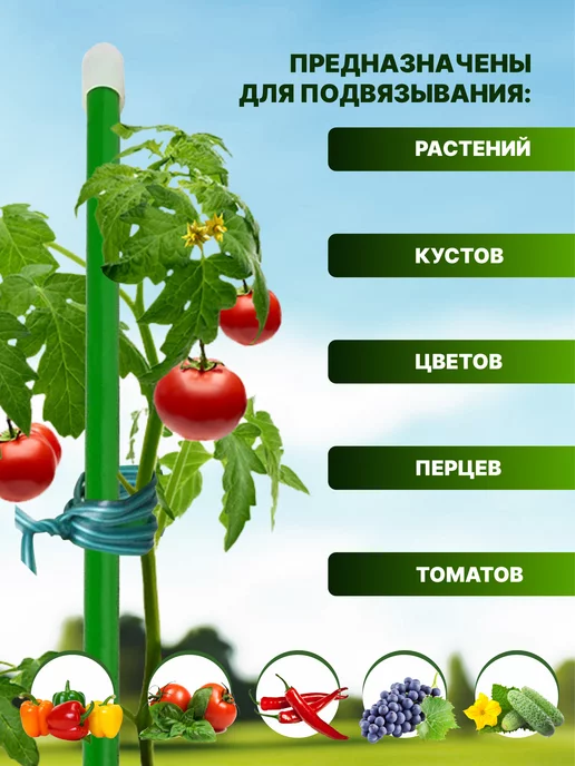 ТПК "ВЕСНА" Колышки для растений и подвязывания помидор металл 85см 20шт, 20 шт, фото 4