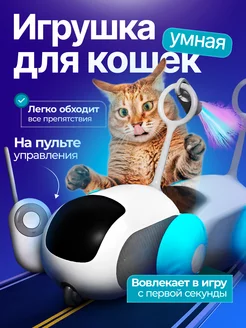 Игрушка для кошек умная машинка PatL 219781519 купить за 799 ₽ в интернет-магазине Wildberries