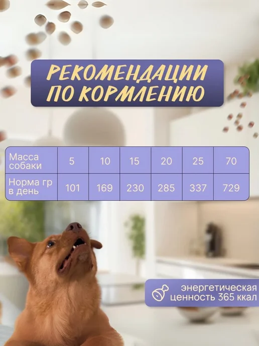 Сухой корм Mr.Wildog для собак, взрослые, индейка, 2 кг, фото 4