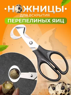 Ножницы для вскрытия перепелиных яиц E.Sharafutdinova 219836938 купить за 184 ₽ в интернет-магазине Wildberries