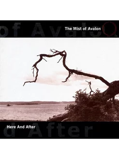 The Mist Of Avalon — Here And After