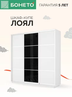 Шкаф-купе Лоял 3 дв ДСП Стекло черное ДСП 210х60х220