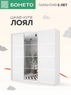 Шкаф-купе Лоял 3 дв ДСП Зеркало ДСП 210х60х220