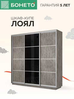 Шкаф-купе Лоял 3 дв ДСП Стекло черное ДСП 210х60х220