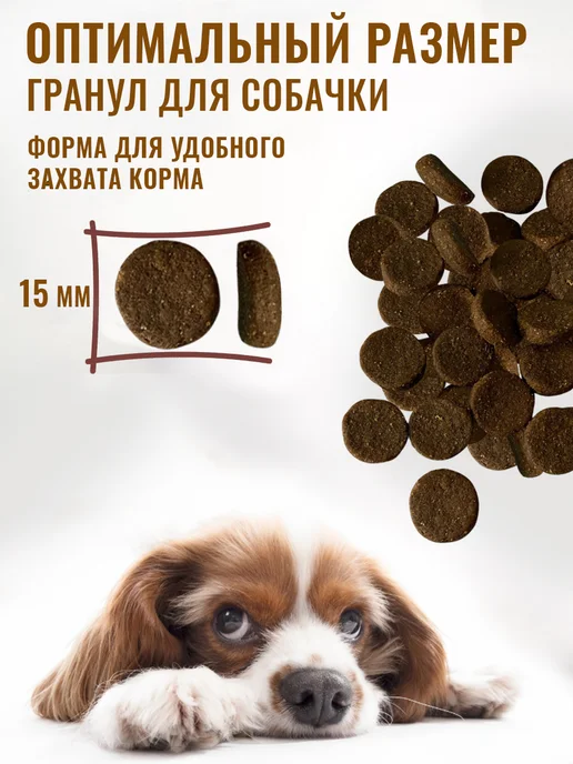 Сухой корм Деревенские лакомства для собак, говядина, 2 кг, фото 2