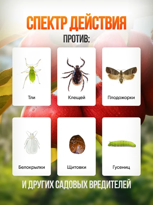 ДачаРу Нитрафен средство обработка растений 1л, 1 л, фото 2