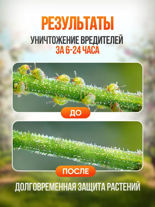 ДачаРу Нитрафен средство обработка растений 1л, 1 л, фото 4