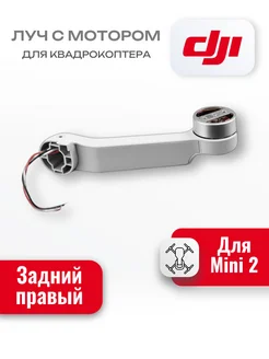 Луч с мотором задний правый для квадрокоптера DJl Mini 2