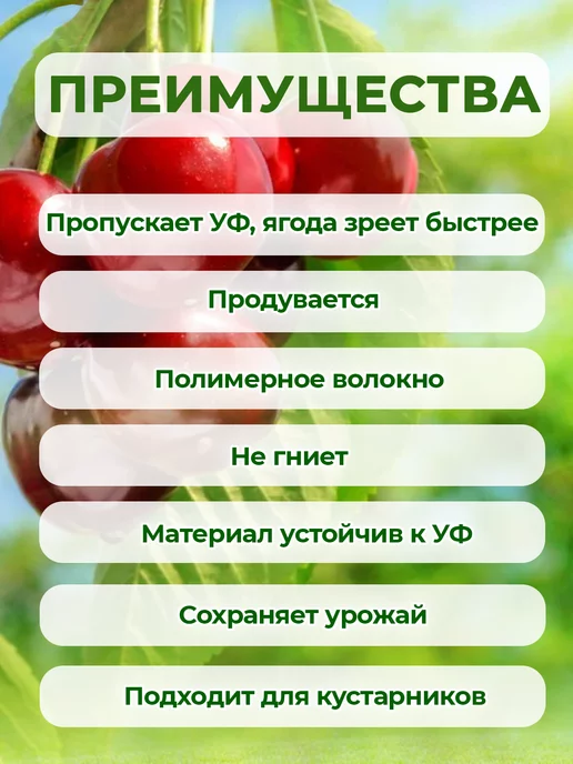 ПРОТЭКТ сетка от птиц на деревья, зеленый, фото 3