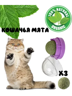 Игрушка шарик с кошачьей мятой + 3 шарика мяты