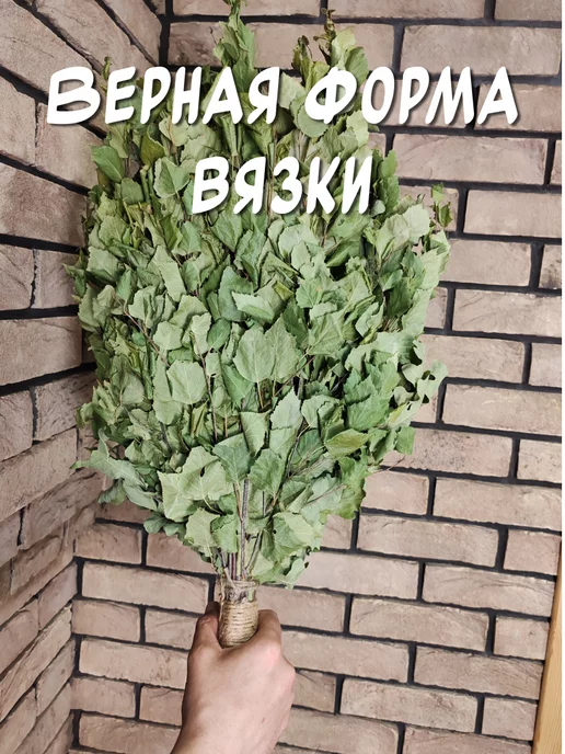 из Пущи Берёзовый веник и запарки 2 шт, 2 шт, фото 8