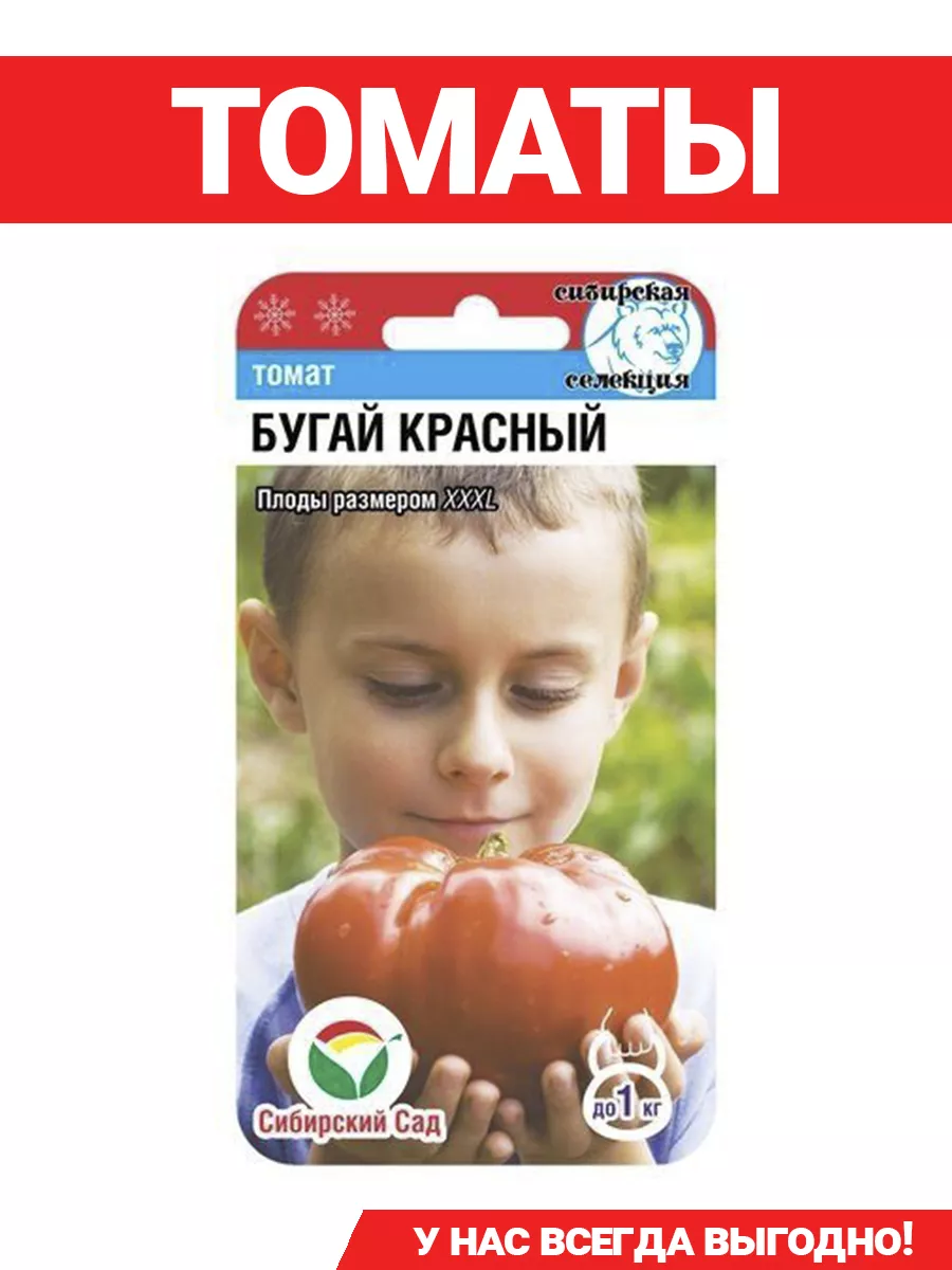 Семена томат бугай красный. Томаты бугай отзывы. Томаты бугай отзывы. Томат бугай розовый сиб сад. Томат бугай красный.