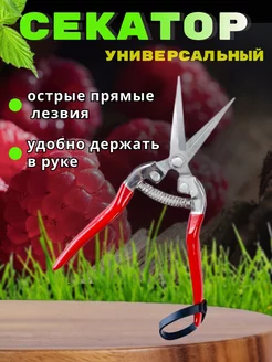 Секатор садовый ножницы для цветов