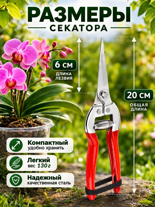 Flickering Секатор садовый ножницы для цветов, красный, фото 3