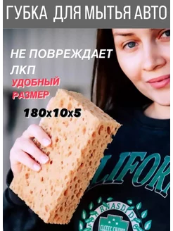 Губка для мытья машины