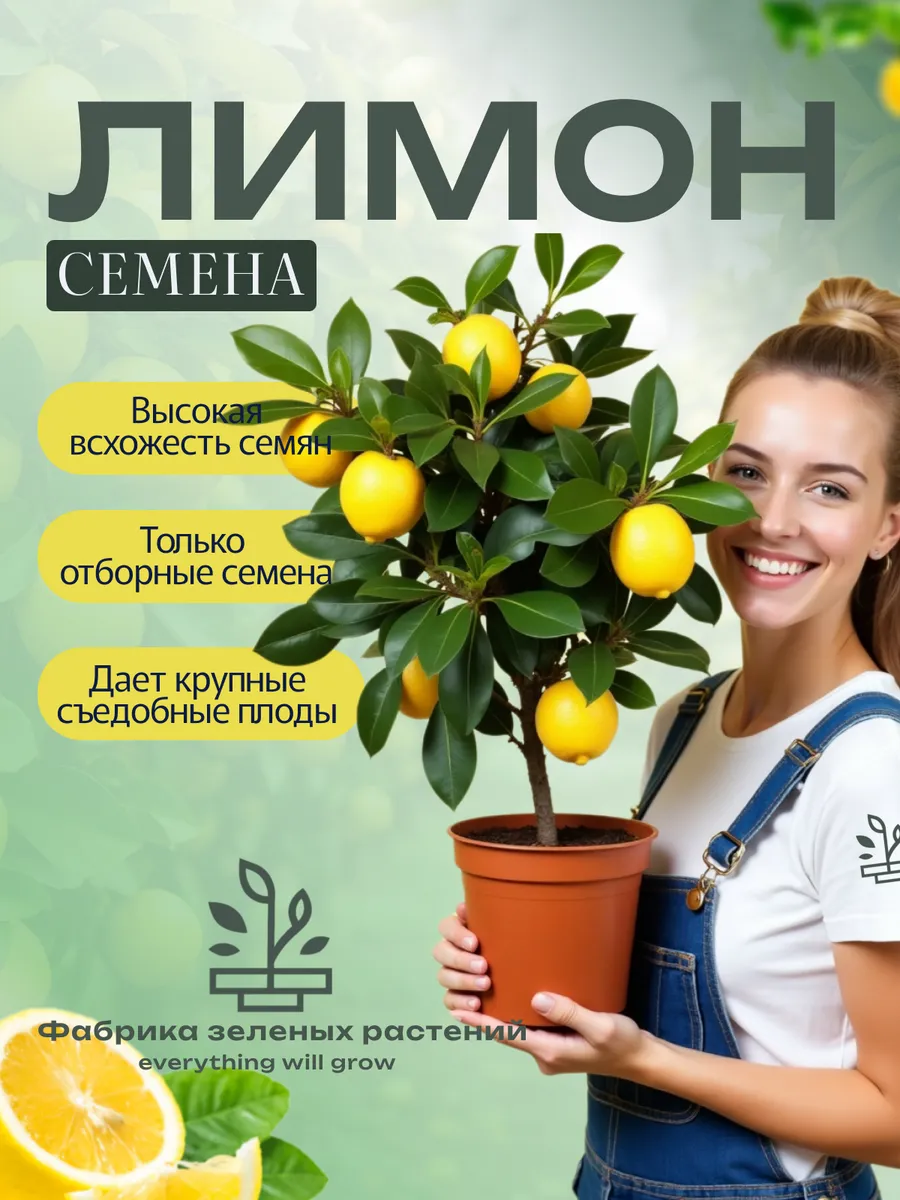 Семена лимона домашнего