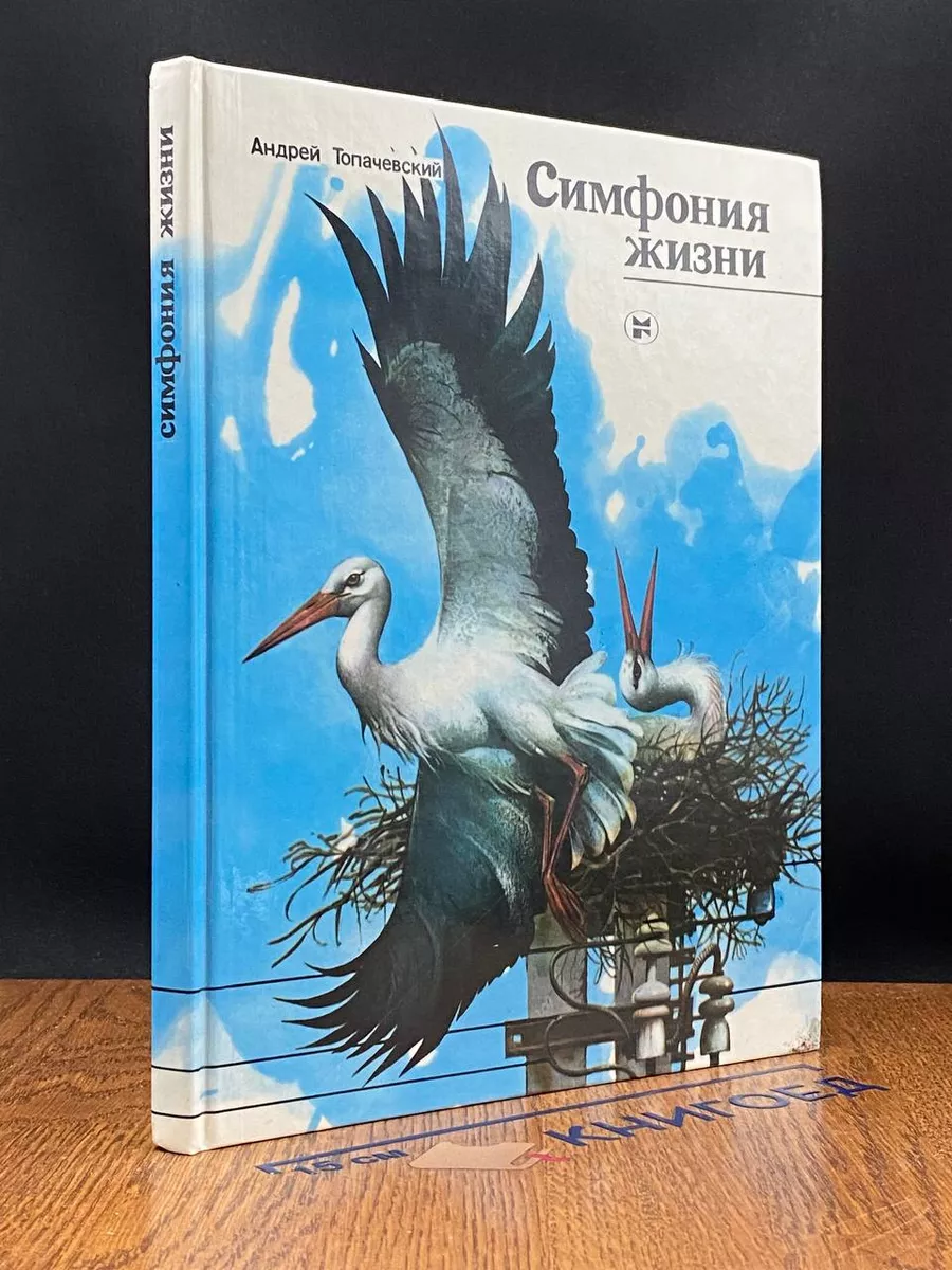 Симфония жизни